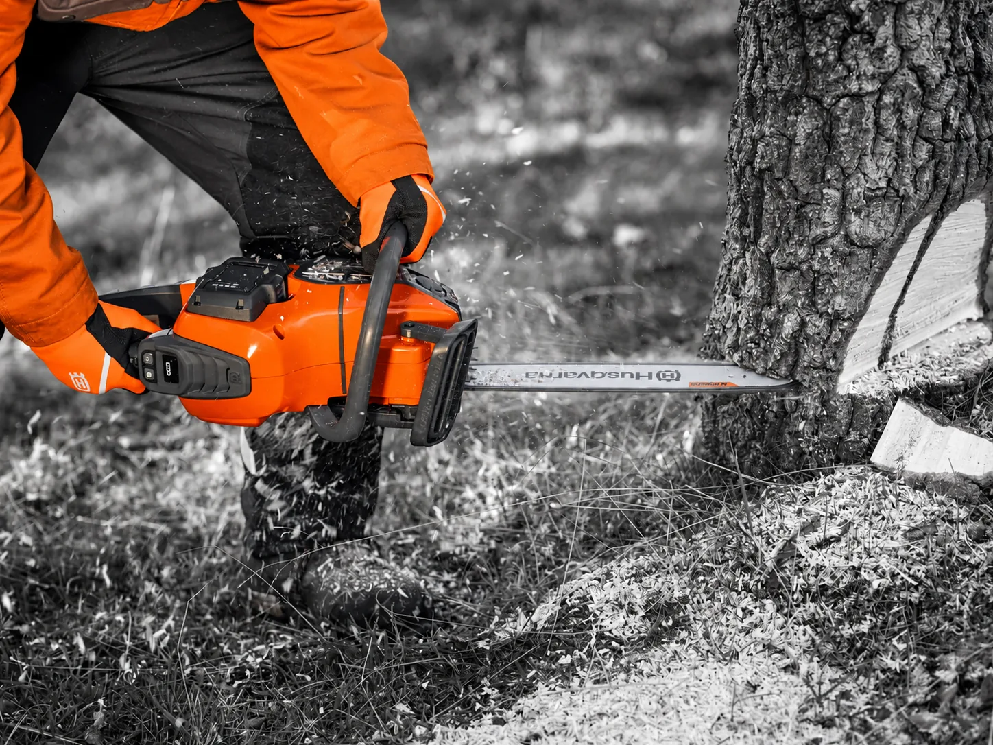 Husqvarna batterimotorsåg i arbete