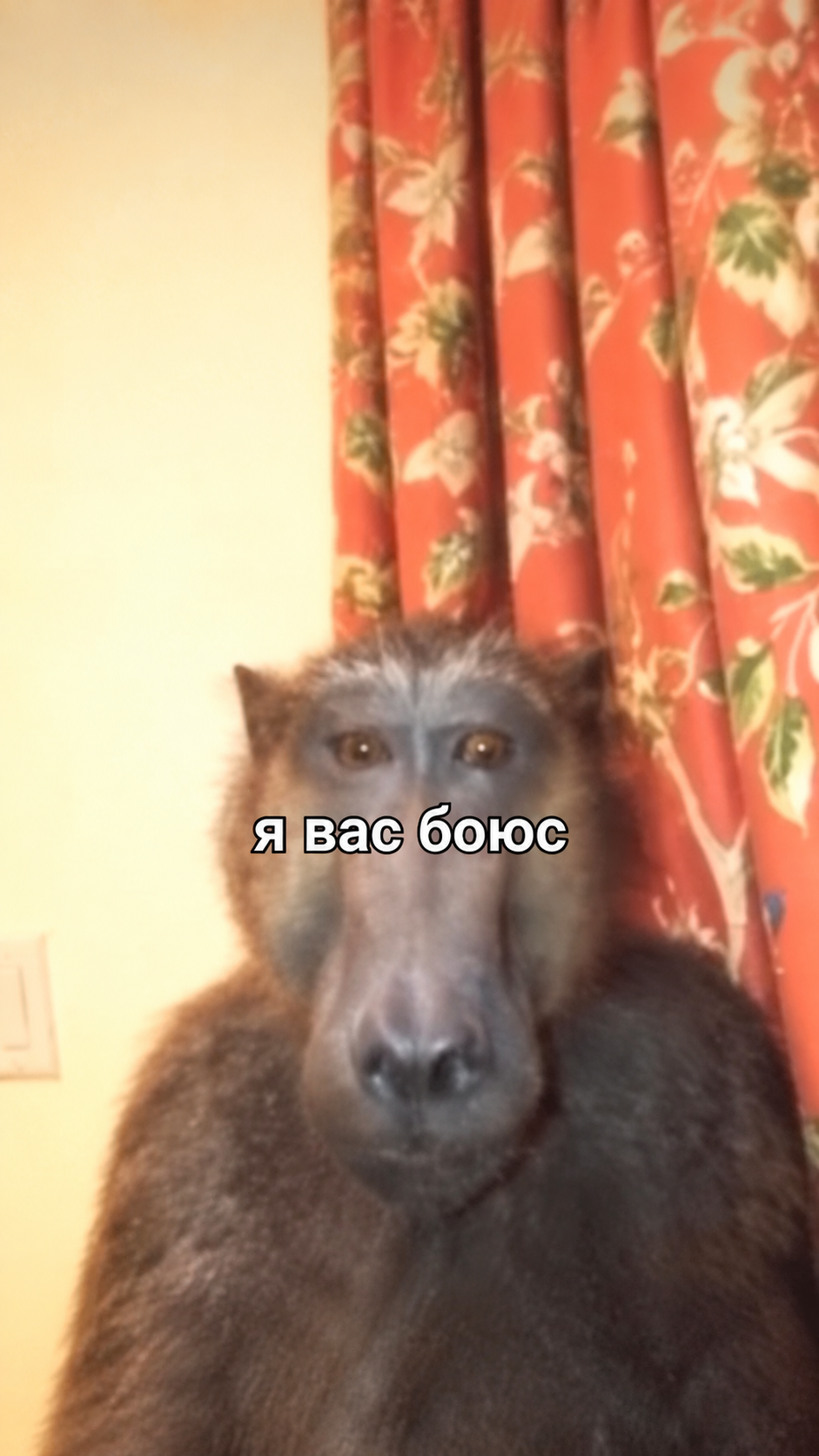 Кадр заставки