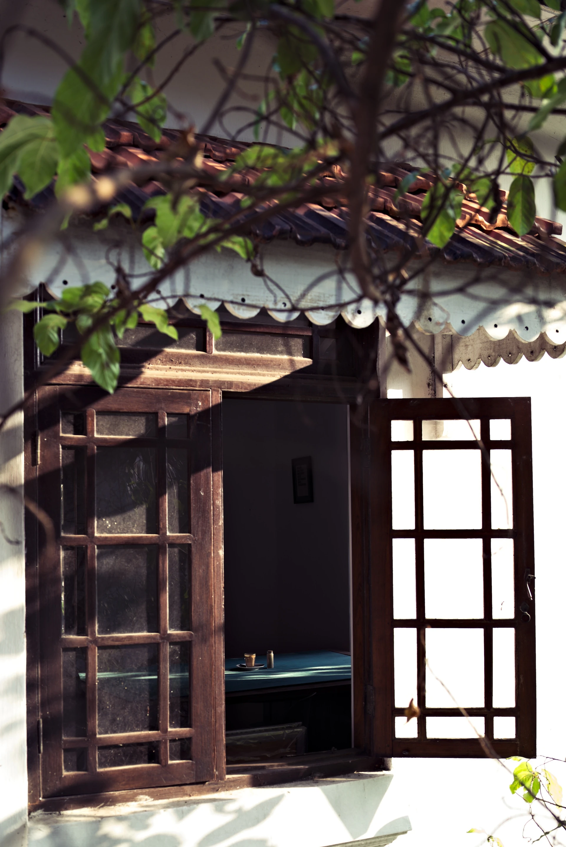 Window table at Black Cat Café