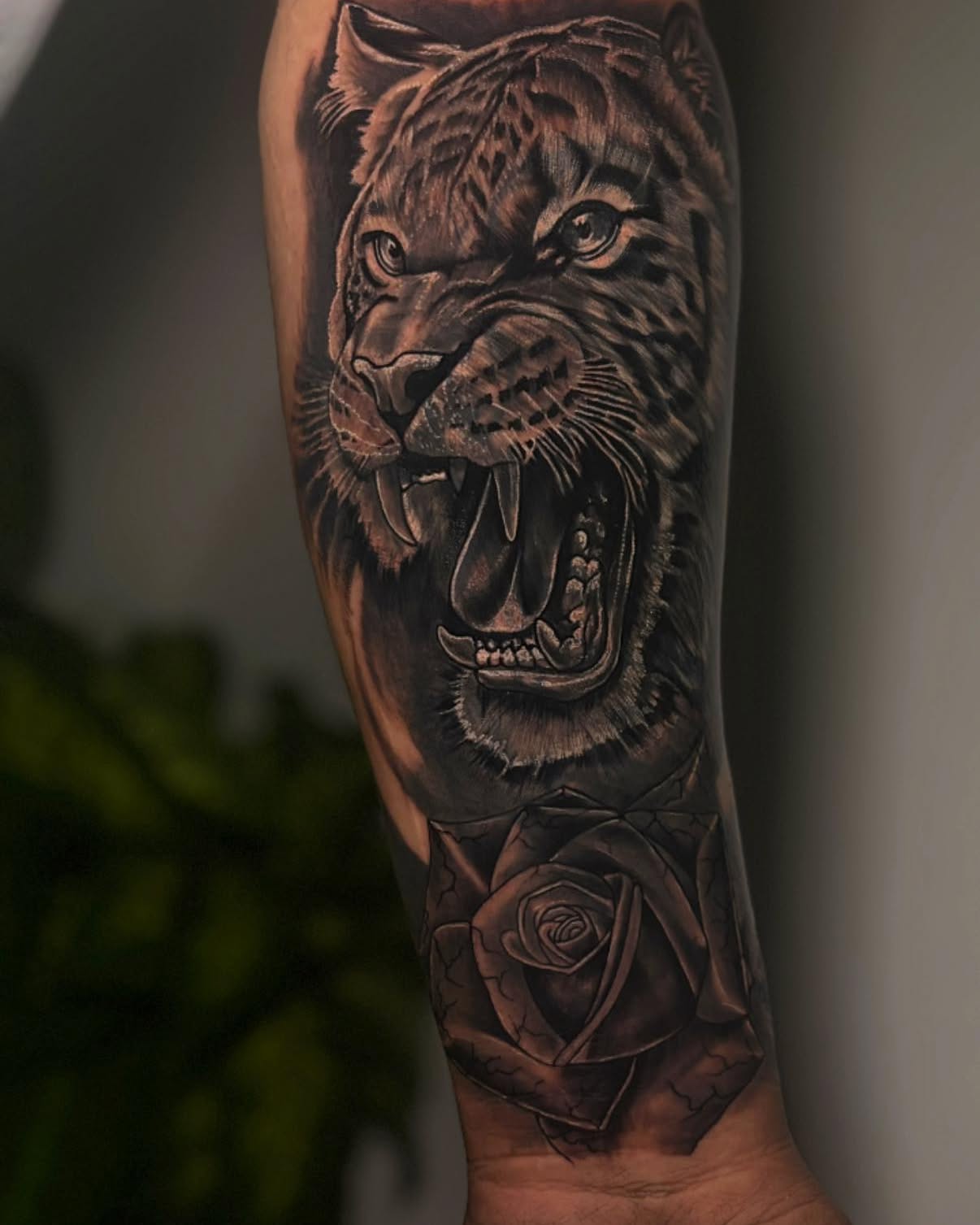 Animals work by Flakkito Padron