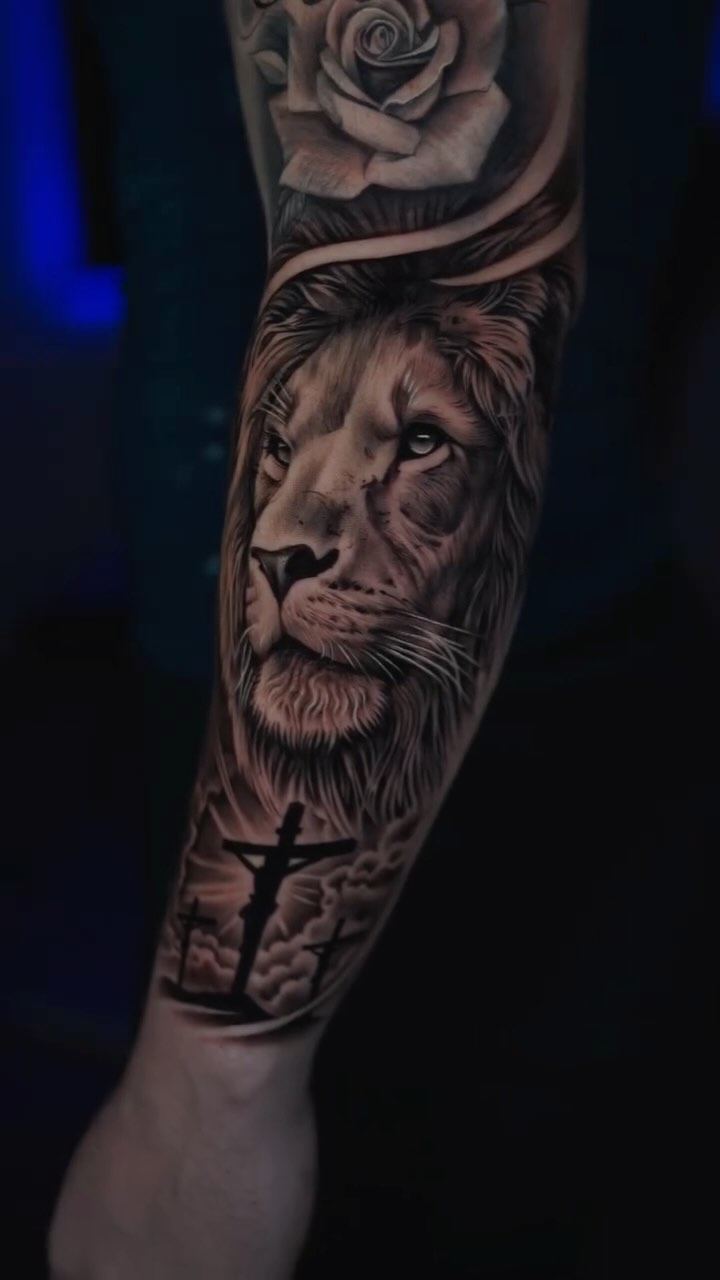 Animals artwork by Luis Cano