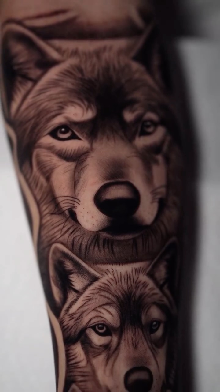 Animals work by Juan Martin