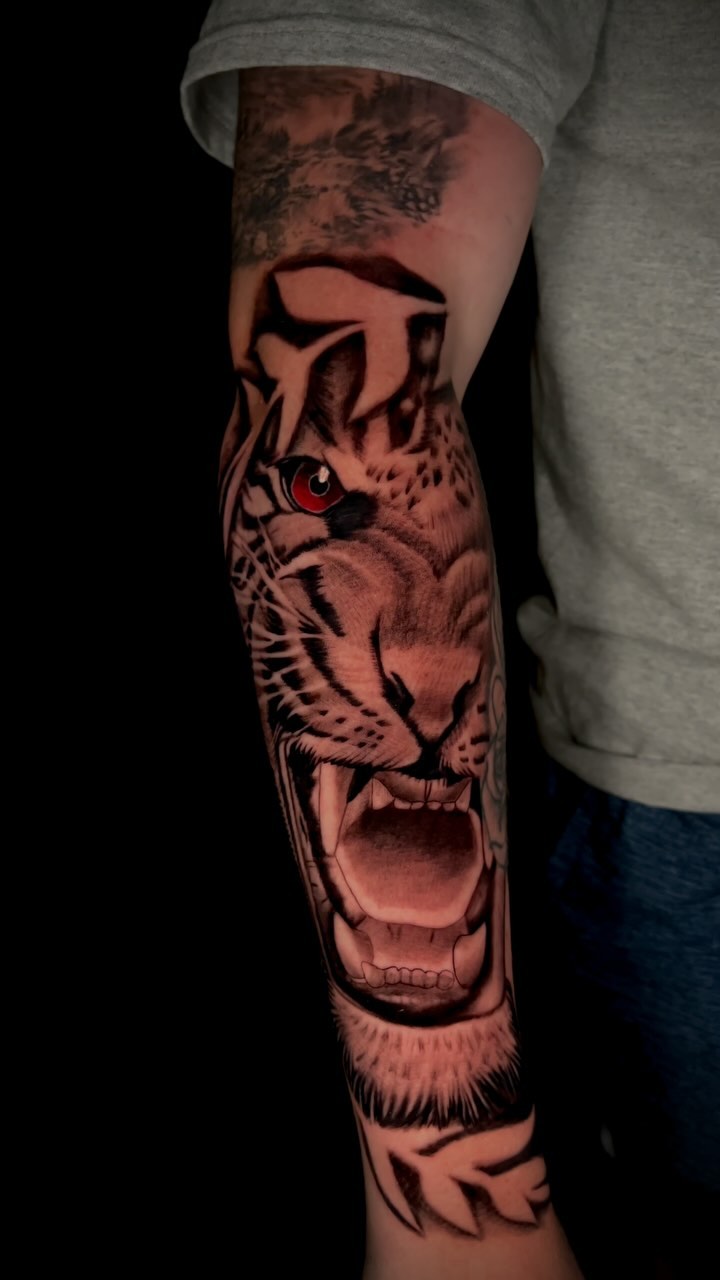 Animals artwork by Juan Martin
