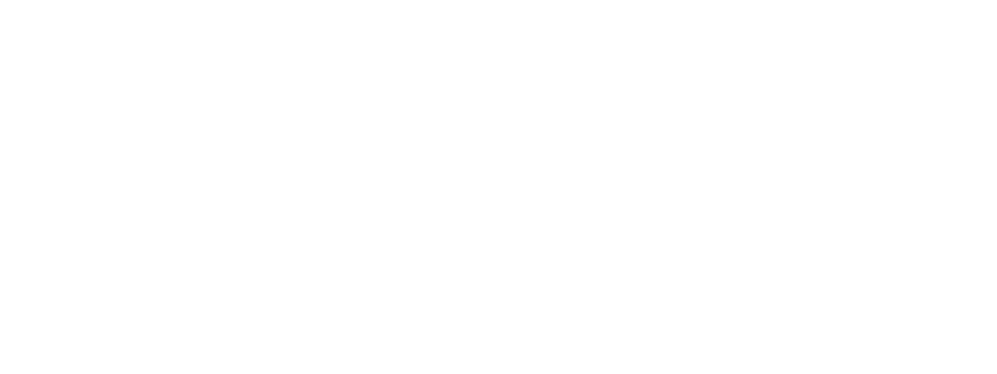 Brave Logo