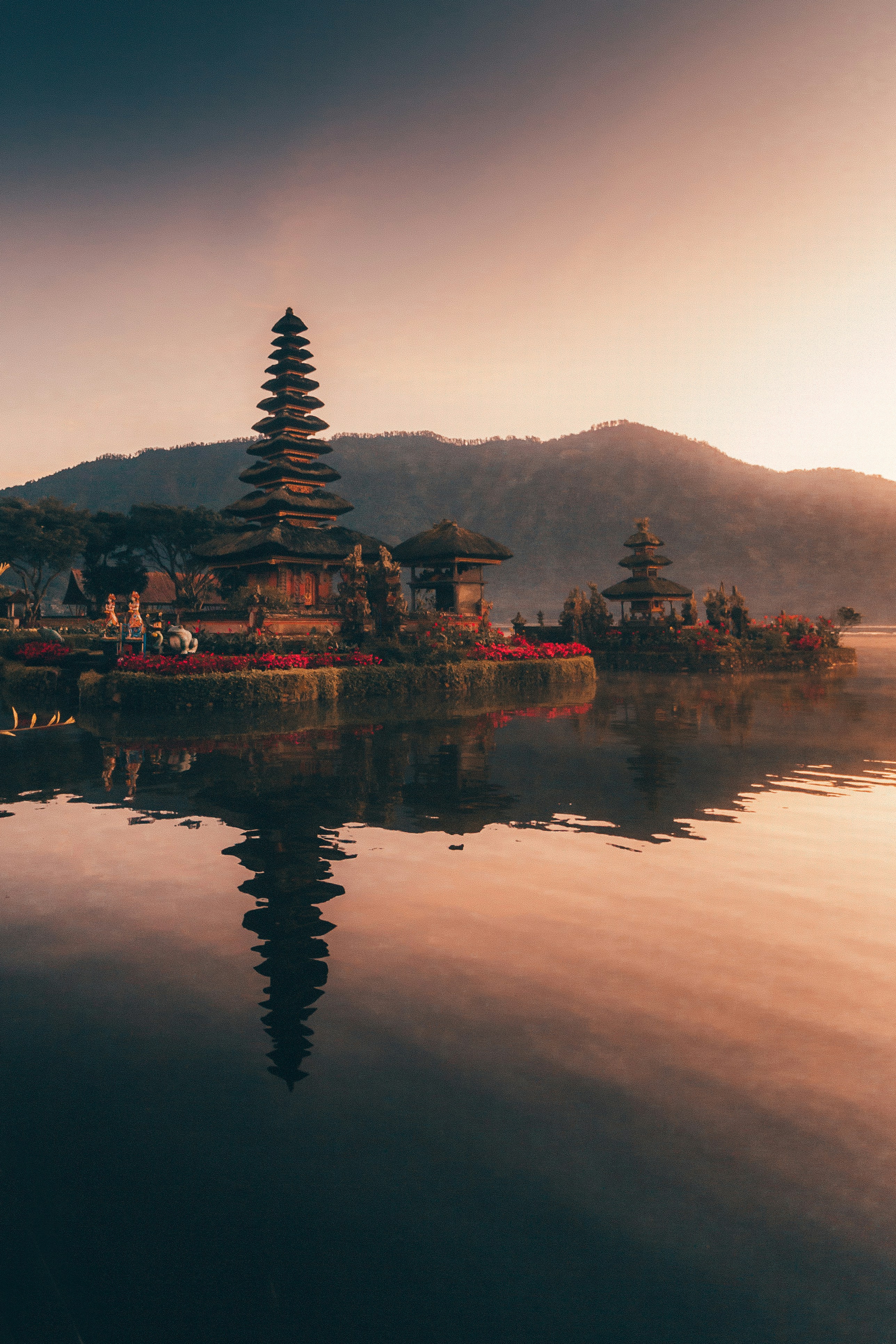 Bali rice terraces in warm sunlight