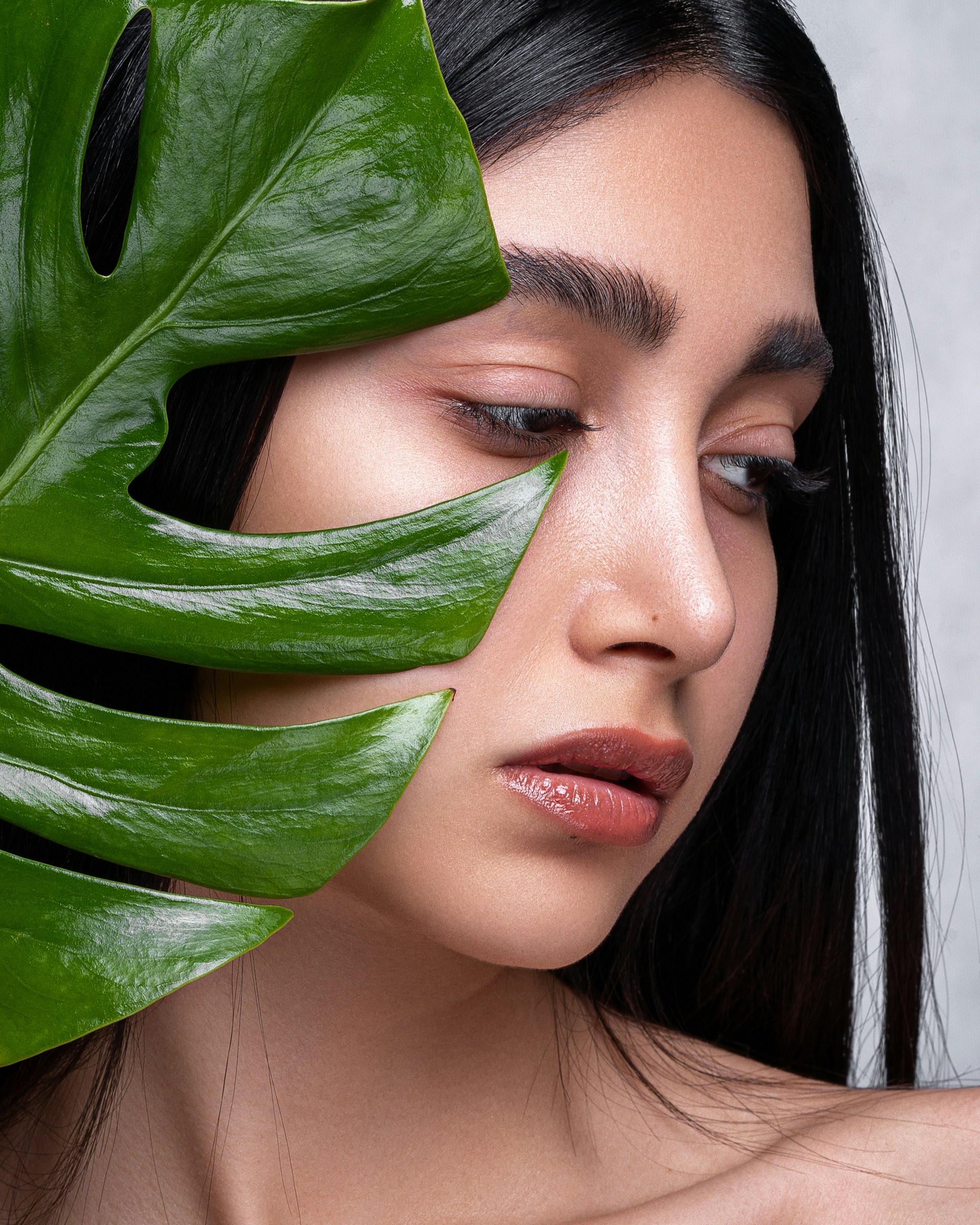 Botanical ingredients and green plants