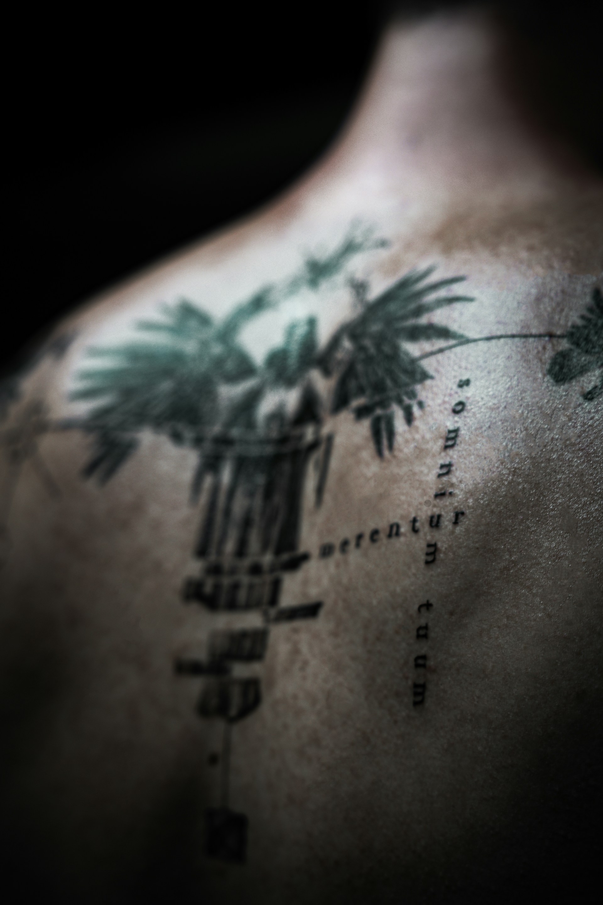 Tattoo Setup