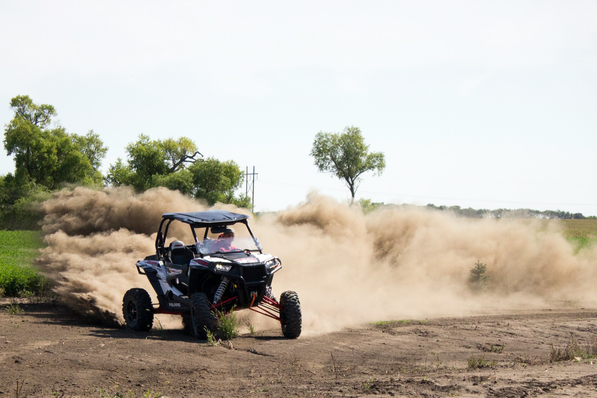 Buggy Rental
