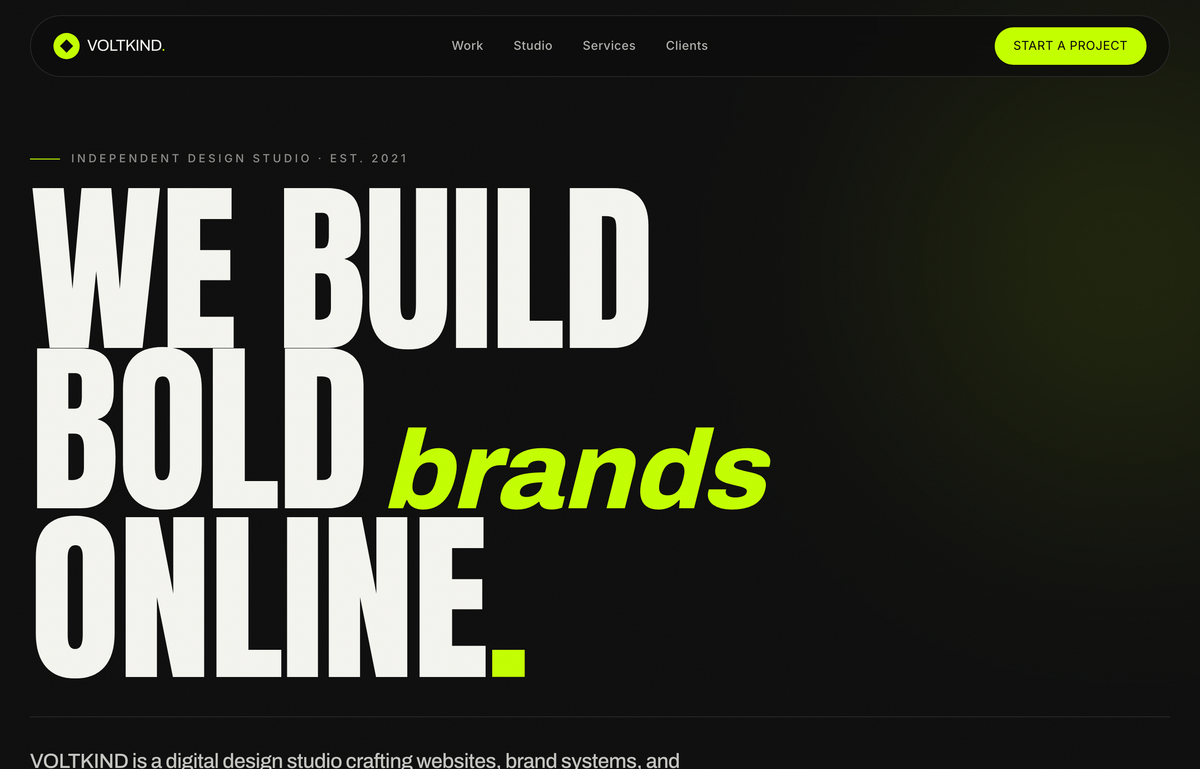 VOLTKIND — We Build Bold Brands Online preview