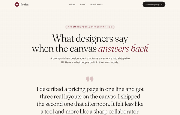 Praise - What designers say when the canvas answers back preview